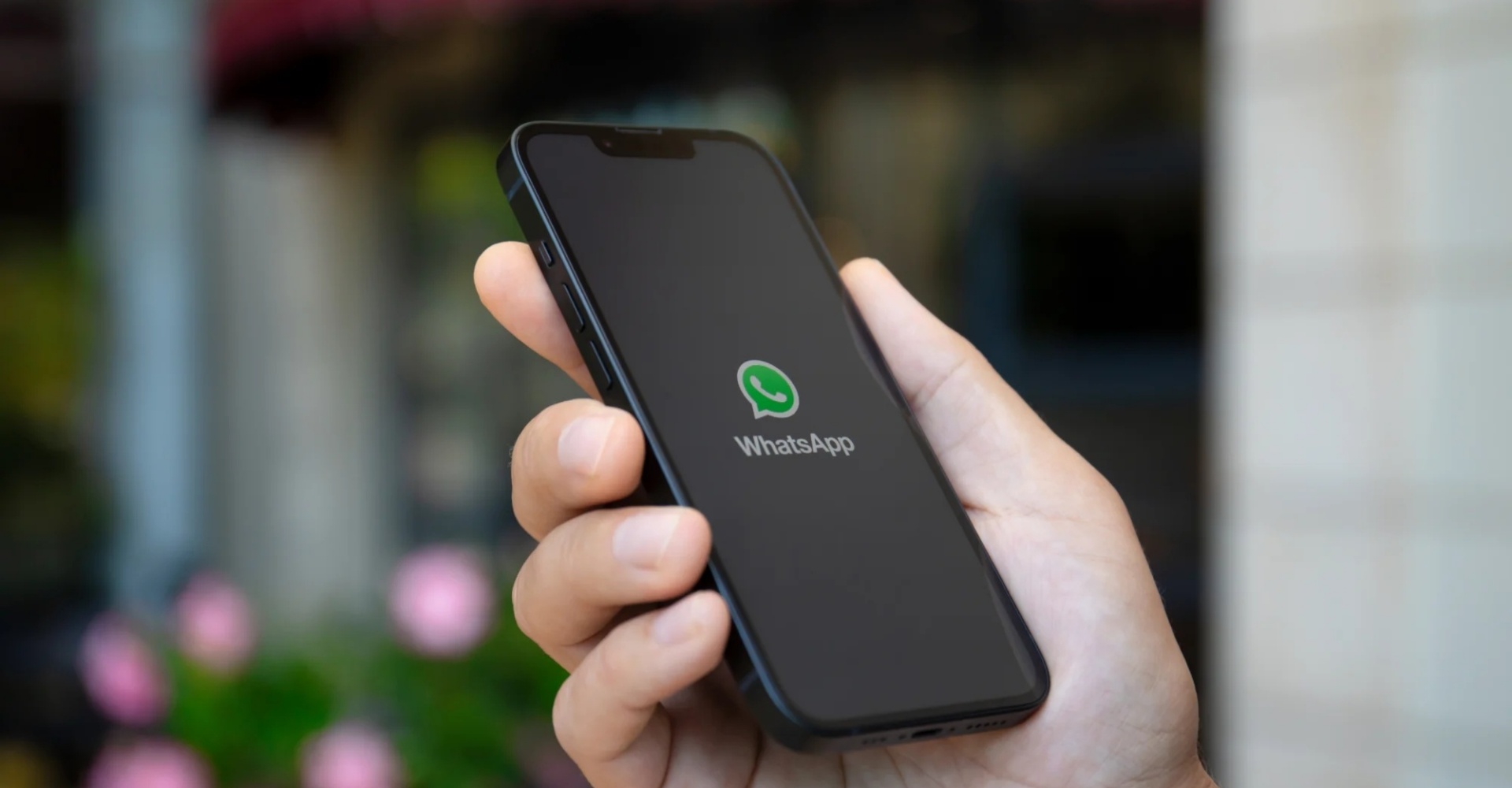 api img 695efb058eb51