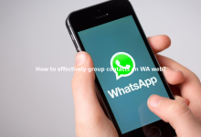 How to effectively group contacts on WA web?-WA Web