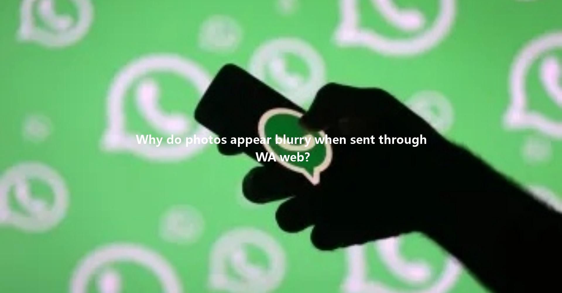 Why do photos appear blurry when sent through WA web? 4 Why do photos appear blurry when sent through WA web? 一