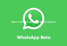 Where to find chat options on WA web platform?-WA Web