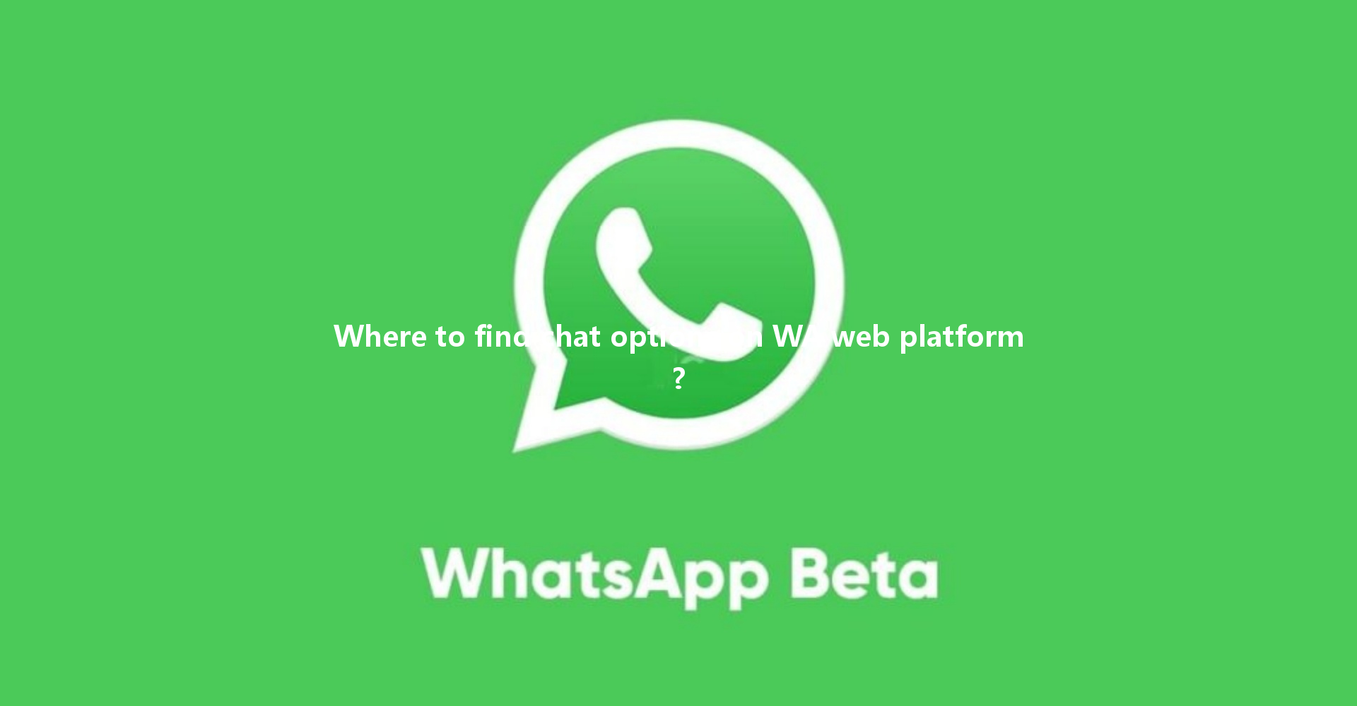 Where to find chat options on WA web platform? 一